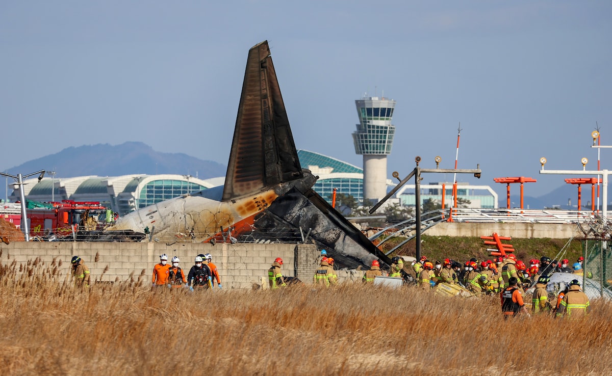 Plane crash in south korea